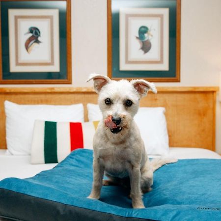 ティンバーズ モーテル トラベロッジ バイ ウインダム ビッグフォーク エクステリア 写真